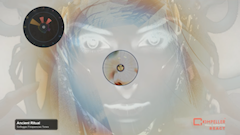 react_20260125_103728